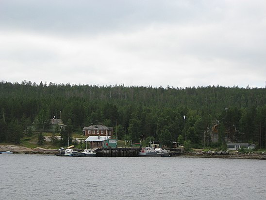 Станция белое море. Ббс Беломорская биологическая станция. Беломорская биологическая станция МГУ. Биостанция МГУ на белом море. Ббс МГУ на белом море.