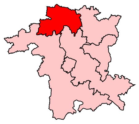 WyreForest2007Constituency