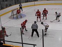 Men's road playoff game vs. Windsor Lancers February 16, 2012. York Lions 2012.JPG