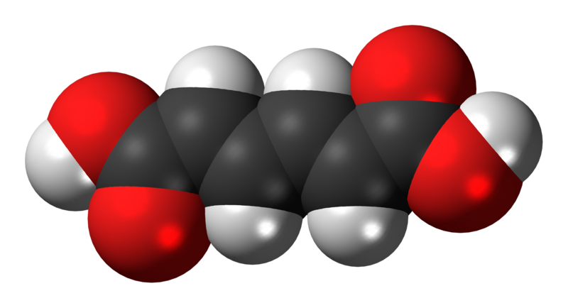 File:(E,E)-Muconic-acid-3D-spacefill.png