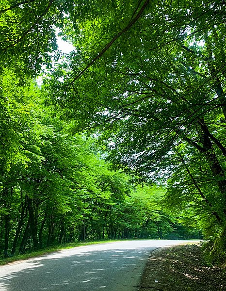 File:İsmayıllı rayonunda İvanovka kəndinə aparan yol.jpg