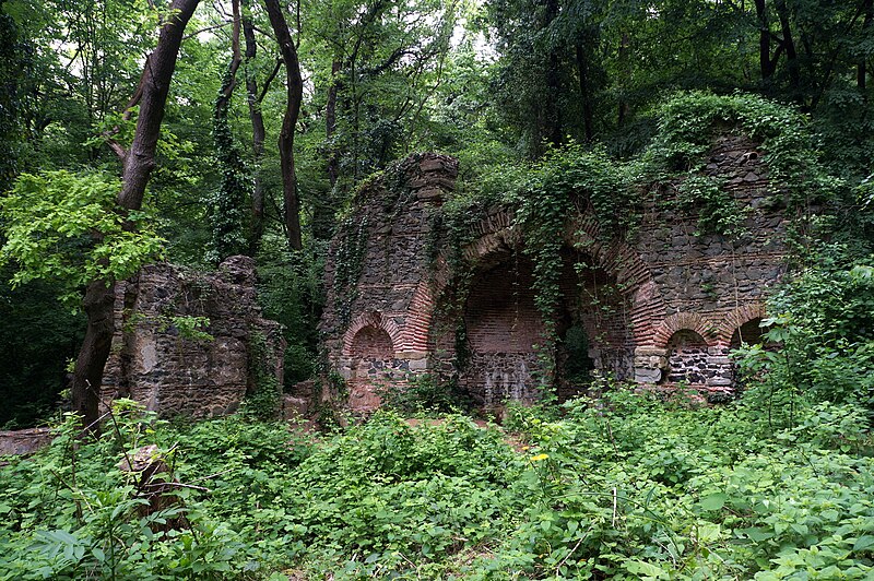 File:Руины церкви святого Георгия в Белградском лесу, Стамбул - 2.JPG