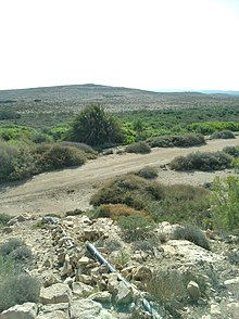 תמונה שצילמתי בעזוז