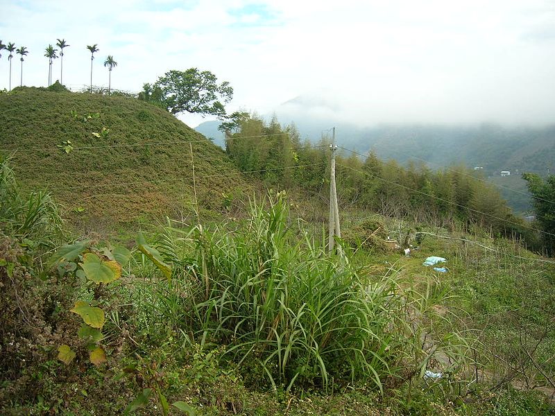 File:慶福里，自海拔817米，向北東北看 - panoramio.jpg