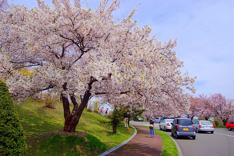 File:戸田記念墓地公園(Toda commemoration graveyard park) - panoramio (5).jpg