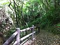 生駒山ハイキングコース(Mount Ikoma hiking course) - panoramio (41).jpg