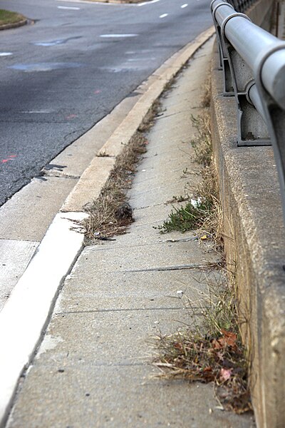 File:11thStreetBridges DC deterioration03.JPG