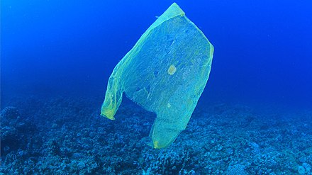 Plastic bag in the sea