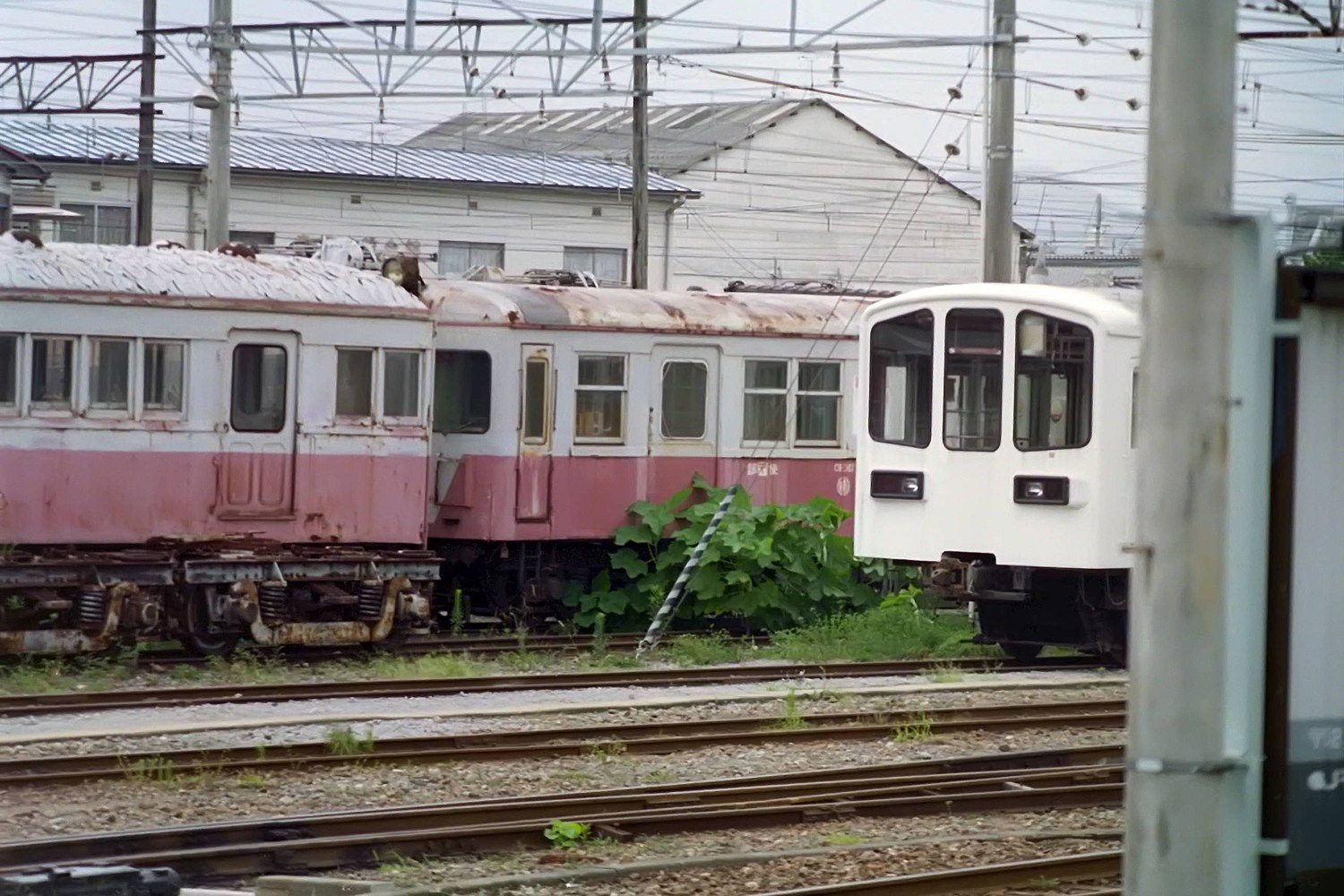 堅実な究極の 伊予鉄道 モハ203 製造銘板 鉄道 - zimskaluka.hr