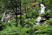 20100102 Triplet Falls - Otway Ranges - Victoria - Australia.JPG