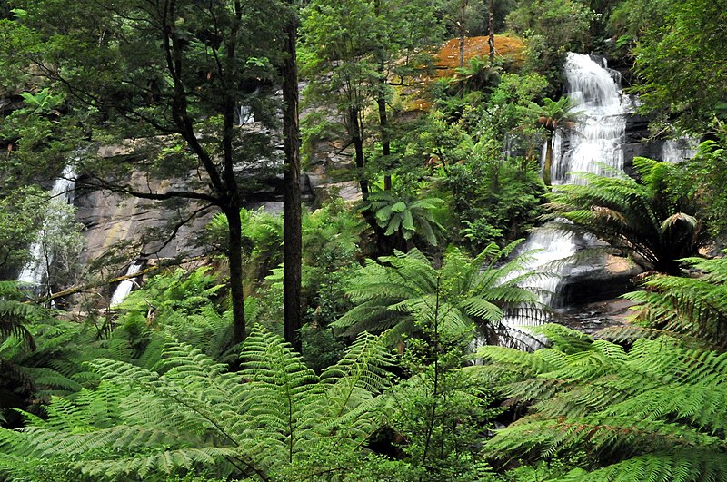 File:20100102 Triplet Falls - Otway Ranges - Victoria - Australia.JPG