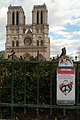 * Nomination Love locks at the Cathédrale Notre-Dame de Paris --ComputerHotline 15:15, 27 February 2016 (UTC) * Decline Overprocessed sky, clipped bushes, and not really a picture of the locks, just a sign --Daniel Case 07:04, 4 March 2016 (UTC)