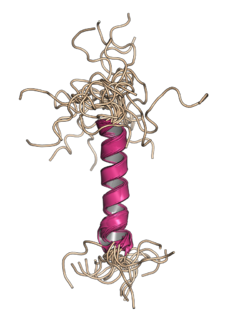 <span class="mw-page-title-main">Agnoprotein</span> InterPro Family