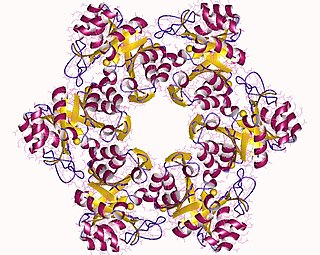 <span class="mw-page-title-main">1-(5-phosphoribosyl)-5-((5-phosphoribosylamino)methylideneamino)imidazole-4-carboxamide isomerase</span> Class of enzymes