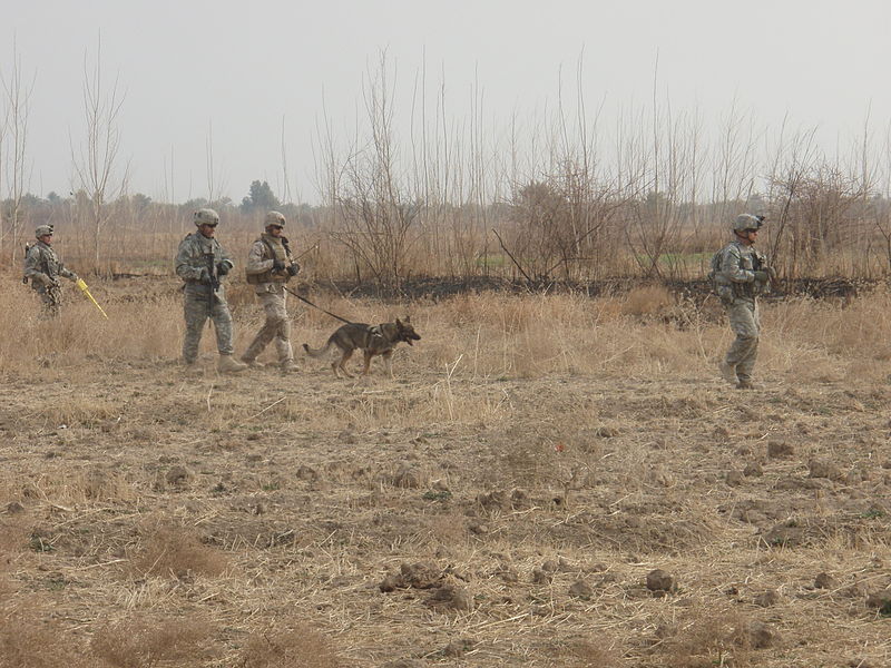 File:5-7 Cav. Regt. works to erode insurgent resources DVIDS77752.jpg