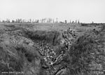 Members of the 6th Battalion in August 1918