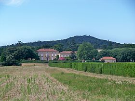 Widok La Roquette z widokiem na zamek Saint-Estève w Uchaux.