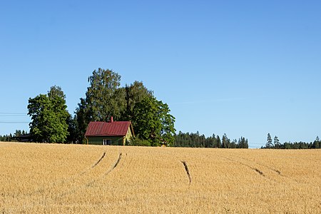 A green house sits behind a golden grainfield in Henna, Orimattila.