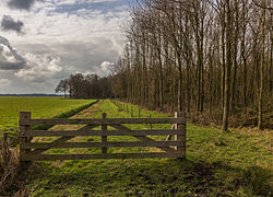 Afrastering om natuurgebied. Locatie, natuurgebied Delleboersterheide – Catspoele 04