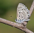 in Hyderabad, India