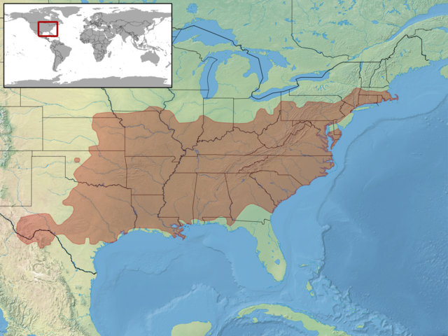 Em castanho, a distribuição da Agkistrodon contortrix na América do Norte