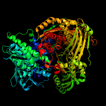 Aldeído oxidase