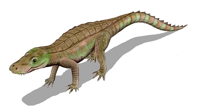 Image: Anatosuchus BW