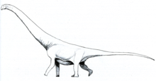 andesaurus LM.png