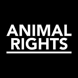 Animal Rights