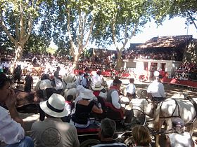 Les arènes du Cailar en août, pendant la fête votive.