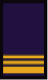 Armada Argentina - Suboficial Primero.svg