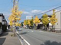 東通 (秋田市)のサムネイル