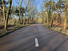 Иллюстративное изображение статьи Avenue de Fontenay