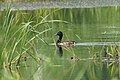 於 2022年7月25日 (一) 08:59 版本的縮圖