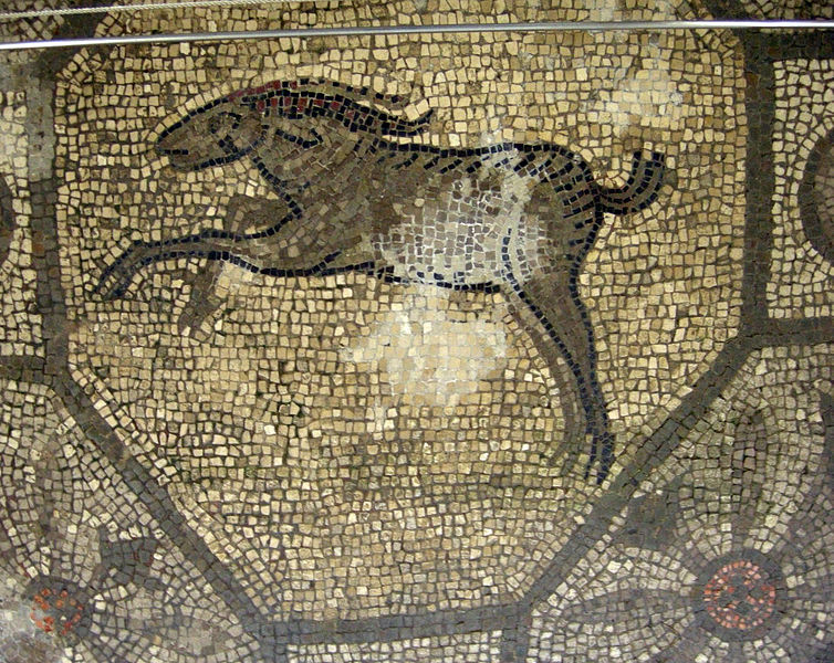 File:Basilica di aquilieia, museo e scavi , mosaico con animali, caprone.JPG