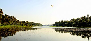 Chalakudy river, Kerala