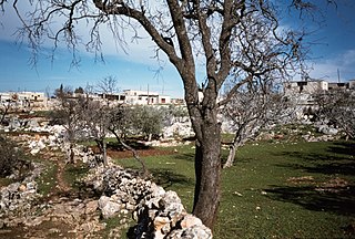 <span class="mw-page-title-main">Banabil</span> Village in Idlib, Syria