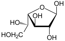 File:Beta-D-Galactofuranose.svg