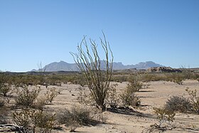 Resultado de imagen para desierto de chihuahua