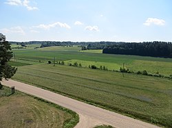 Birštono sen., Lithuania - panoramio (103).jpg