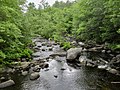 Thumbnail for Blackwater River (Contoocook River tributary)