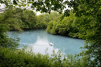 So kommt man zu Harpener Teiche mit den Öffentlichen - Mehr zum Ort Hier