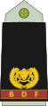 Botswana-Army-OF-3.svg