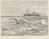 Bouyer1867-La Guyane-p020-Alecton&calmar.jpg