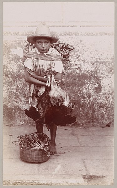 1896 photograph of an indigenous Mexican boy.
