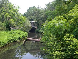 Річка Бронкс у ботанічному саду