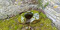 Bullaun stone at Innisfallen Church, Oratory & Abbey, Co. Kerry