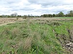 Bulwick Meadows