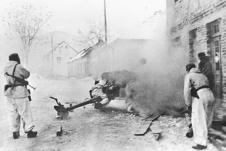 Немецкие артиллеристы в бою с партизанами, Босния