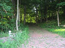 Butternut Hill driveway.jpg